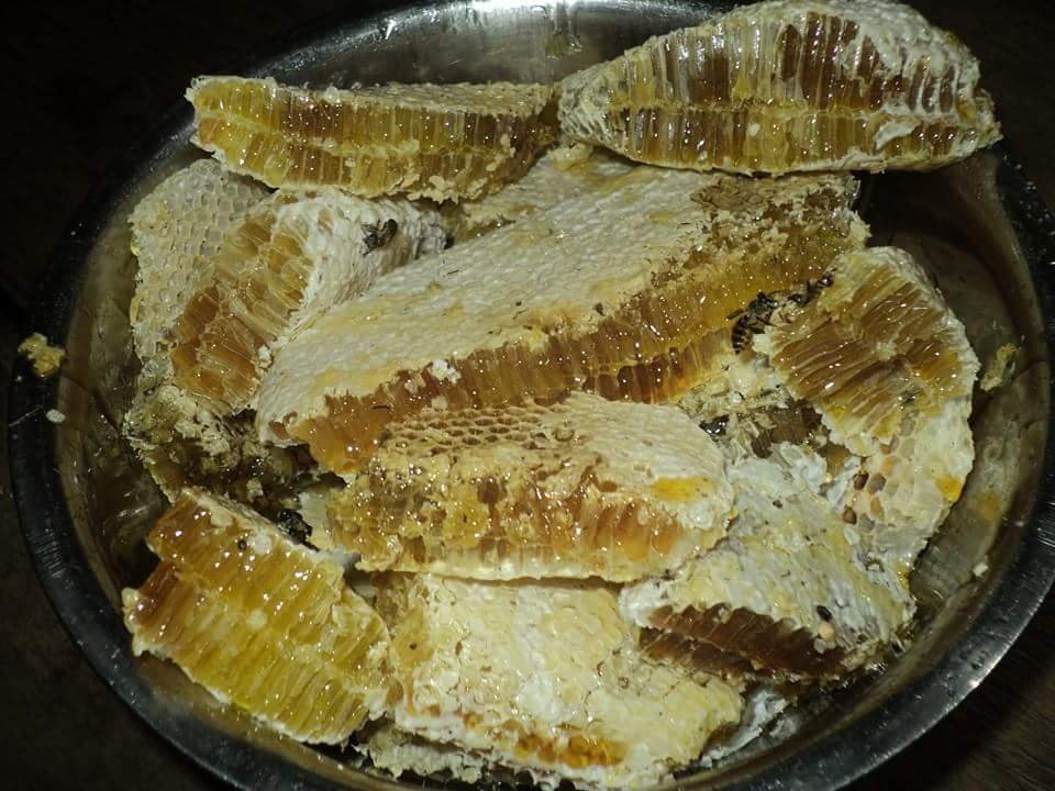 1714841046989.jpg
