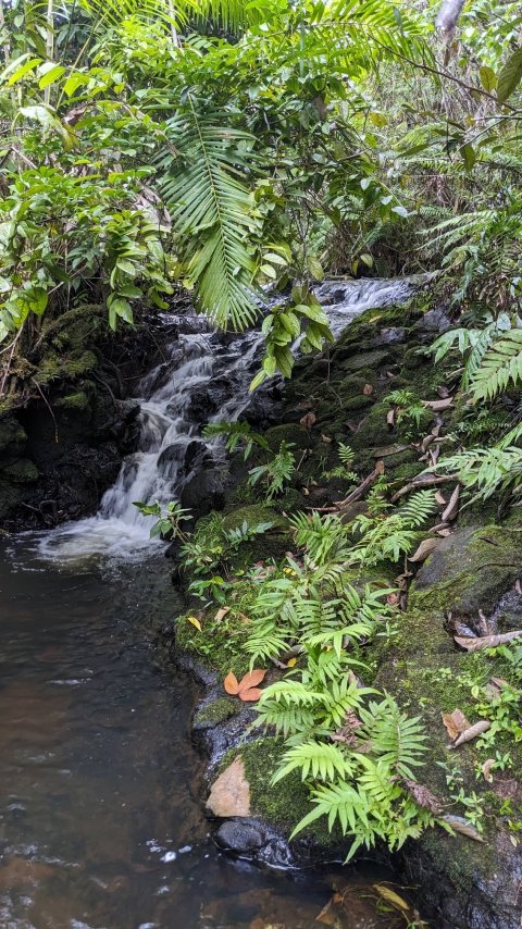 sungai 